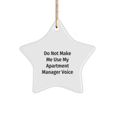 Funny Apartment Manager Gifts from Friends - Menor Women - Christmas Unique Star Ornament for Apartment Manager or Women - Funny Quote - Star Shaped Decoration - Image 1